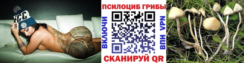 darknet официальный сайт  Светлогорск  Галлюциногенные грибы ЛСД 